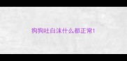 狗狗吐白沫什么都正常