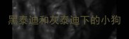 黑泰迪和灰泰迪下的小狗