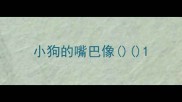 小狗的嘴巴像