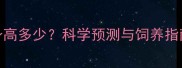 4个月拉布拉多身高多少科学预测与饲养指南附成长表
