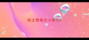 哈士奇有大小体吗