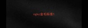 ngkc金毛标准