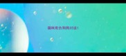 猫咪欺负狗狗对话