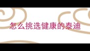 怎么挑选健康的泰迪
