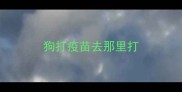 狗打疫苗去那里打
