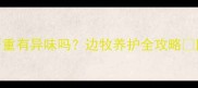 边境牧羊犬掉毛严重有异味吗边牧养护全攻略附防脱除臭小妙招