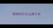 狗狗钙片什么牌子好