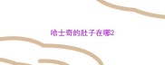 哈士奇的肚子在哪