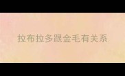 拉布拉多跟金毛有关系