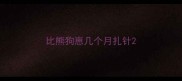 比熊狗崽几个月扎针