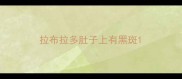 拉布拉多肚子上有黑斑