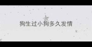 狗生过小狗多久发情