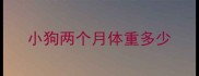 小狗两个月体重多少