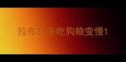 拉布拉多吃狗粮变慢