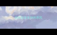 拉布拉多发抖的原因