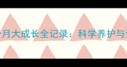 金毛犬9个月大成长全记录科学养护与训练指南