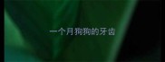 一个月狗狗的牙齿