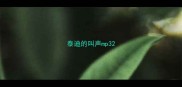 泰迪的叫声mp3