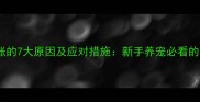 小狗崽腹部肿胀的7大原因及应对措施新手养宠必看的幼犬健康指南