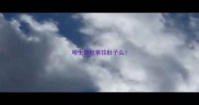 哈士奇经常拉肚子么