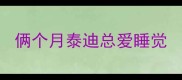 俩个月泰迪总爱睡觉