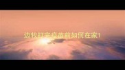 边牧打完疫苗前如何在家