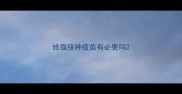 给猫接种疫苗有必要吗