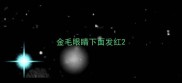 金毛眼睛下面发红