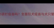 狗狗抓伤人后必须打疫苗吗全面狂犬疫苗与犬只管理的科学指南