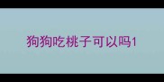 狗狗吃桃子可以吗