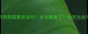 两个月大的狗狗需要驱虫吗全攻略来了科学方法与注意事项