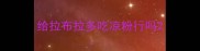 给拉布拉多吃凉粉行吗