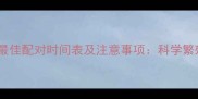 金毛犬最佳配对时间表及注意事项科学繁殖指南