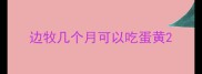 边牧几个月可以吃蛋黄