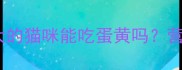 科学喂养指南三个月大的猫咪能吃蛋黄吗营养补充与风险防范全