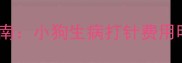 宠物医院就诊指南小狗生病打针费用明细与避坑攻略