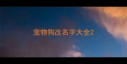 宠物狗改名字大全