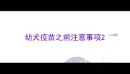 幼犬疫苗之前注意事项