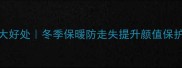 边牧穿衣服的5大好处冬季保暖防走失提升颜值保护皮肤心理安慰