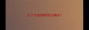 几个月的狗狗可以喝水