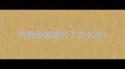 狗狗疫苗漏打了怎么办