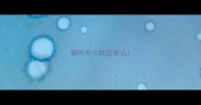 猫咪有六联疫苗么