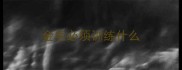 金毛必须训练什么