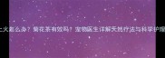 狗狗上火怎么办菊花茶有效吗宠物医生详解天然疗法与科学护理指南