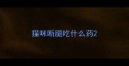 猫咪断腿吃什么药