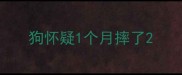 狗怀疑1个月摔了