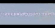 宠物狂犬疫苗第三针全如何科学完成免疫程序疫苗时间表与风险防控指南