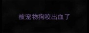 被宠物狗咬出血了