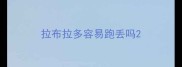 拉布拉多容易跑丢吗