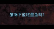 猫咪不能吃墨鱼吗